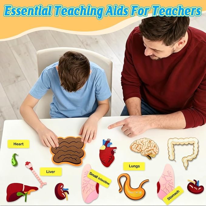 Human Body Parts Felt Board Stories for Kids, Body Model Teaching Puzzle - Image 6
