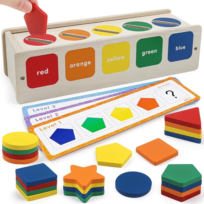 Wooden Sorting Toy Montessori Color & Shape Sorter Class Activity Toddlers Fine Motor Game Teaching Tool for Colors and Shapes Recognition, Birthday Gifts for Boys and Girls by ROOCHKD