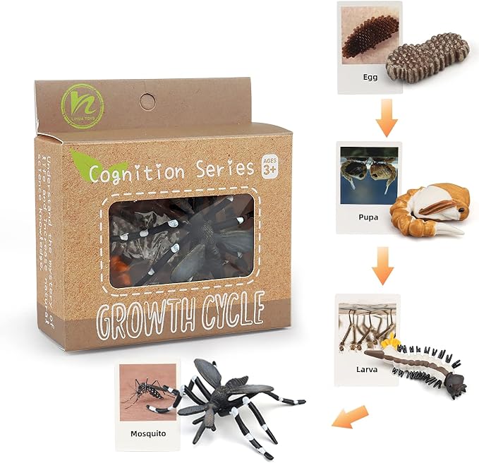 Montessori Life Cycle Animal Figures with Flash Cards, Realistic Animal Figurines Toy, Educational Matching Game for 3+ Year Old Kids (Mosquito) by MIKNEKE