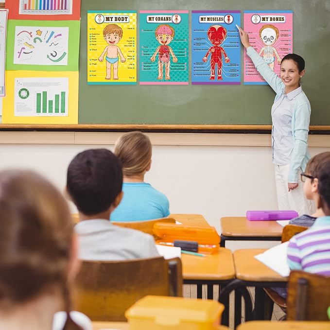 Human Body Educational Learning Posters Body Parts Wall Chart for Kids - Image 4