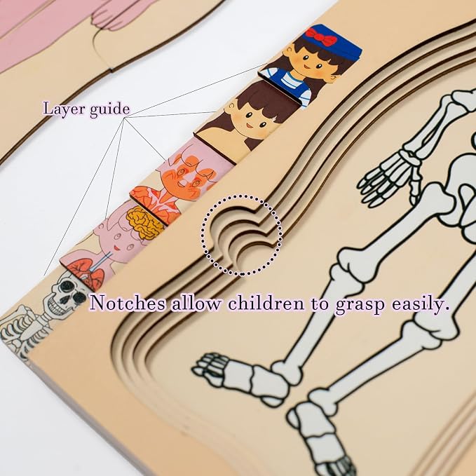 My Body Parts Wooden Anatomy Puzzle, Preschool Learning Human Body Skeleton Toy for Boys and Girls 3-8 Years Old - Image 4