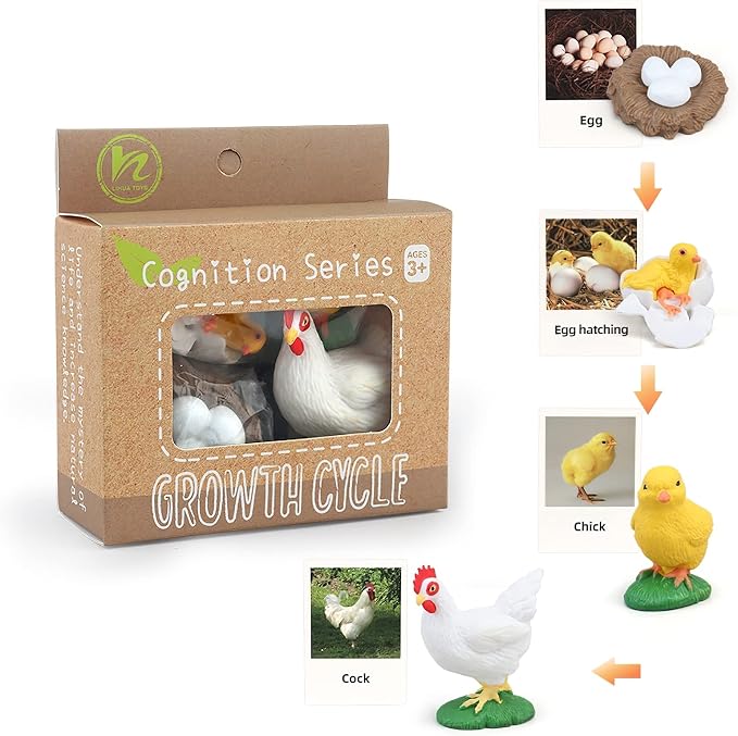 Montessori Chicken Life Cycle with Flash Cards, Realistic Animal Figurines Toy, Animal Educational Matching Game for 3+ Year Old Kids (Cock) by MIKNEKE