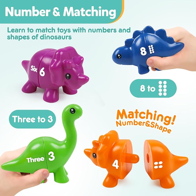 TSYAN Matching Number Counting Dinosaur Toys with Double-Sided 1 2 3 Number Preschool Learning Sensory Sorting Educational Fine Motor Toys Sets for Kids - Image 4