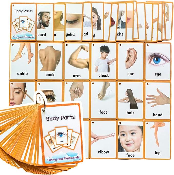 34PCS/Set Body Parts Kids Gifts English Flash Cards Pocket Card Educational Learning Baby Toys for Children Pre-Kindergarten by Unknown