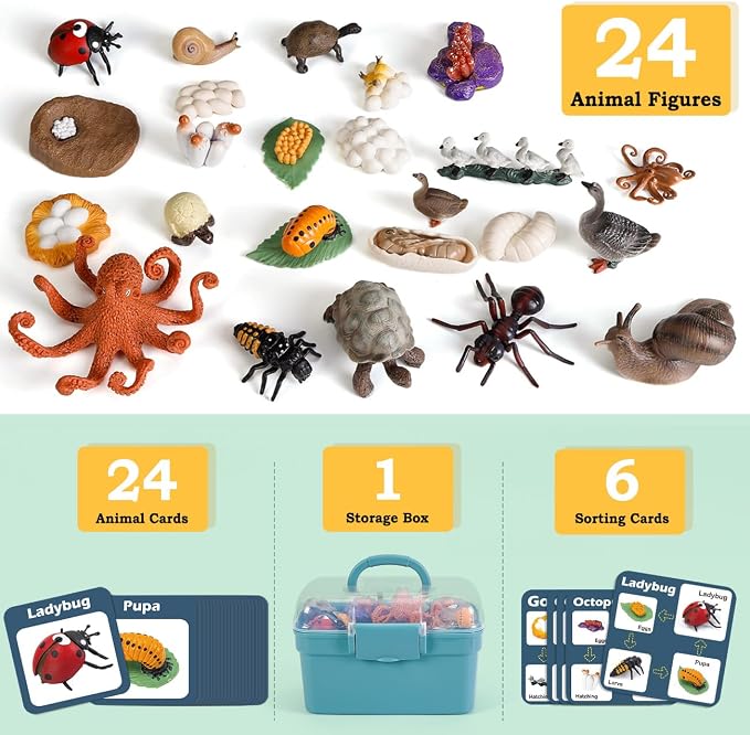 Life Cycle Toys for Kids - Life Science Education Kits: Ladybug, Ants, Goose, Land Turtle, Snail, Octopus - 24 Pieces Animal Models STEM Learning Toys for 3-10 Year Old - Image 2