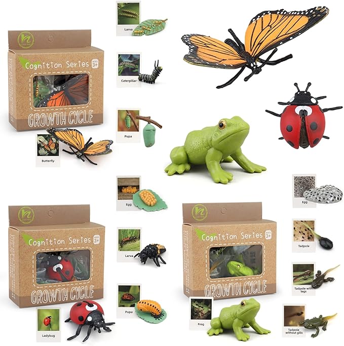Montessori Life Cycle Learning & Education Toys, Plastic Insect Ladybug Monarch Butterfly Tadpole to Frog Kit, Preschool Learning Activities by MIKNEKE