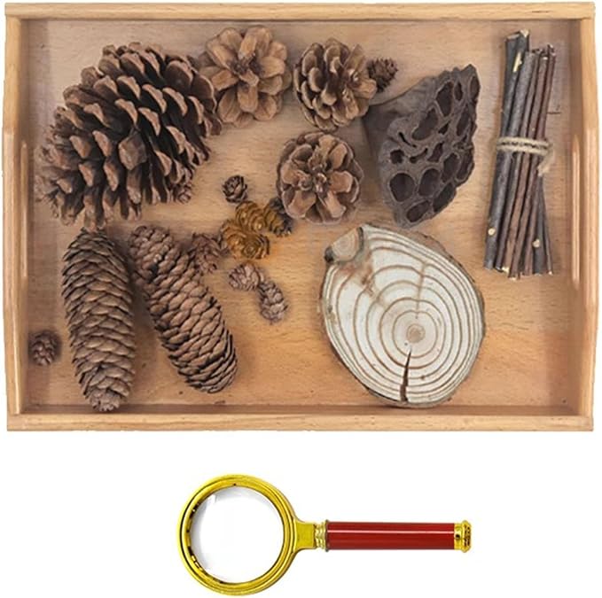 Montessori Nature Exploration Kit, Kids Outdoor Sensory Science Toy - Image 2