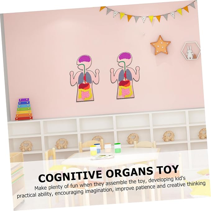 Healifty DIY Organs Craft Kit Human Body Model for Kids Cognitive Organs Toy Creative Organs Plaything Educational Teaching Aids for Learning Internal Body Organs 3 Sets - Image 6