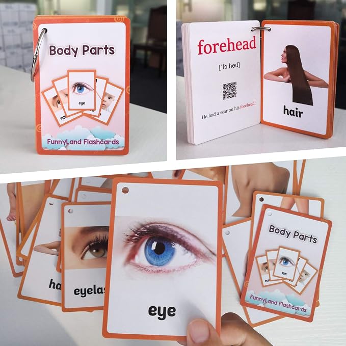 34PCS/Set Body Parts Kids Gifts English Flash Cards Pocket Card Educational Learning Baby Toys for Children Pre-Kindergarten - Image 5