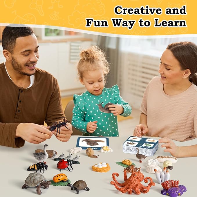 Life Cycle Toys for Kids - Life Science Education Kits: Ladybug, Ants, Goose, Land Turtle, Snail, Octopus - 24 Pieces Animal Models STEM Learning Toys for 3-10 Year Old - Image 4