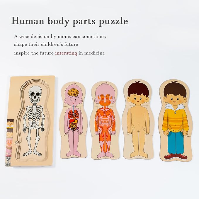 [Brand] My Body Parts Wooden Anatomy Puzzle, Preschool Learning Human Body Skeleton Toy for Boys and Girls 3-8 Years Old - Image 2