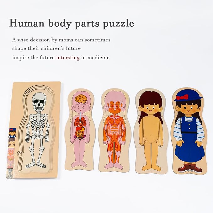 My Body Parts Wooden Anatomy Puzzle, Preschool Learning Human Body Skeleton Toy for Boys and Girls 3-8 Years Old - Image 3