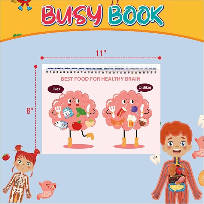 Human Body Anatomy Educational Workbook – Early Learning Materials, 1 Pcs (Orange) - Image 2