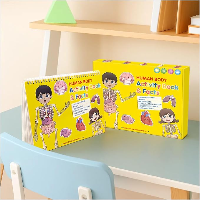 Human Body Anatomy Educational Workbook – Early Learning Materials, 1 Pcs (Yellow) by BEMAXYE
