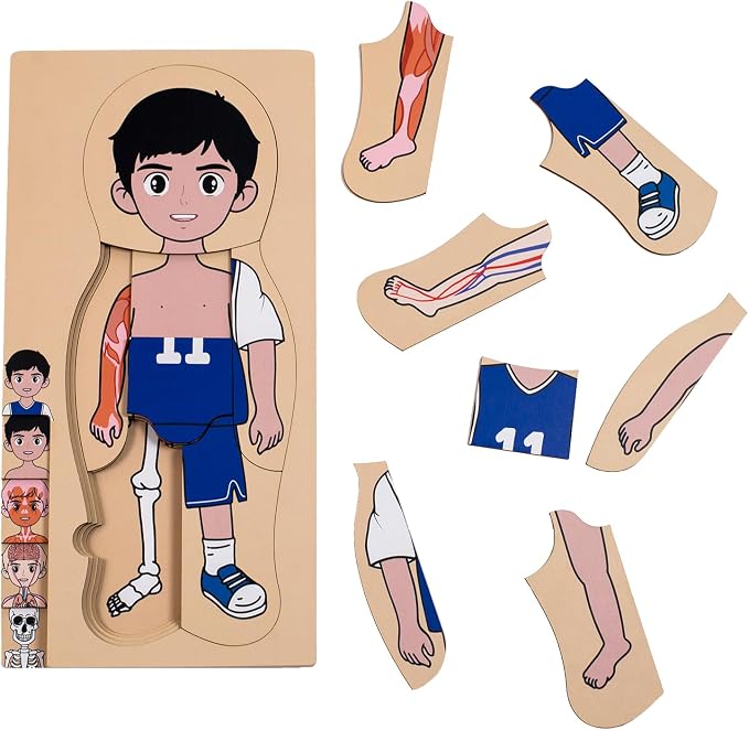 My Body Parts Puzzle for Toddlers Kids Girls Boys Montessori Wooden Anatomy Puzzle 3-6 Years Old Preschool Learning Game Human Body Cognitive Toys by Unknown