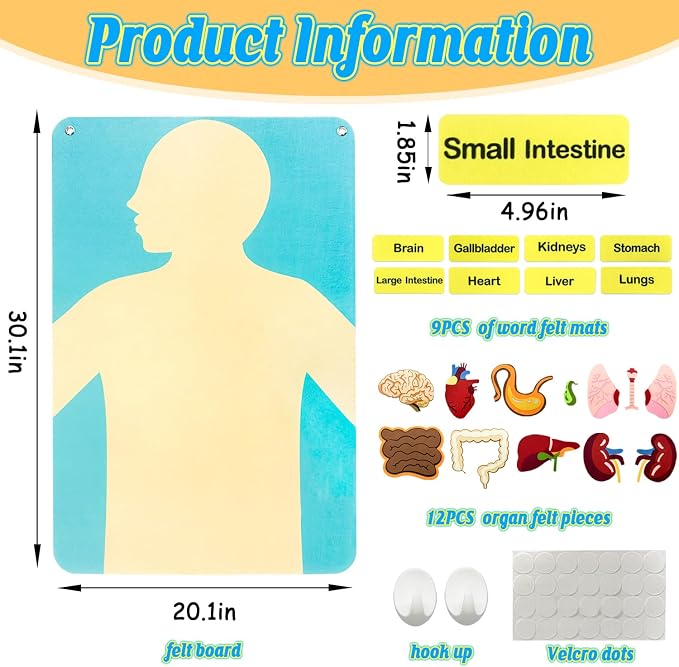 Human Body Parts Felt Board Stories for Kids, Body Model Teaching Puzzle - Image 3