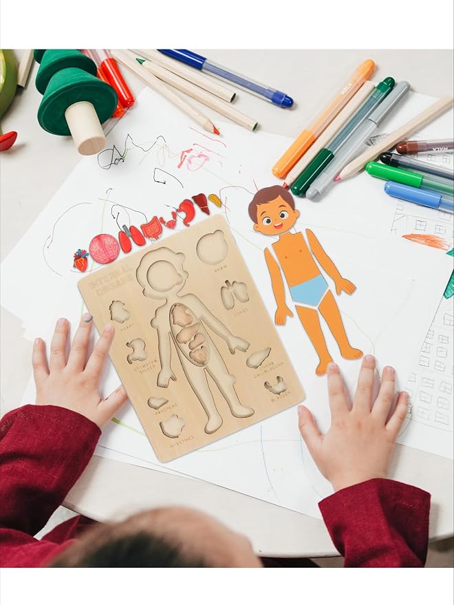 Montessori Jigsaw Puzzle of Human Structure Kids Human Learning Toy Anatomy Organ Model Anatomy Toy Children Human Organ Education Toys Human Organ Teaching Aids (Girl) - Image 4