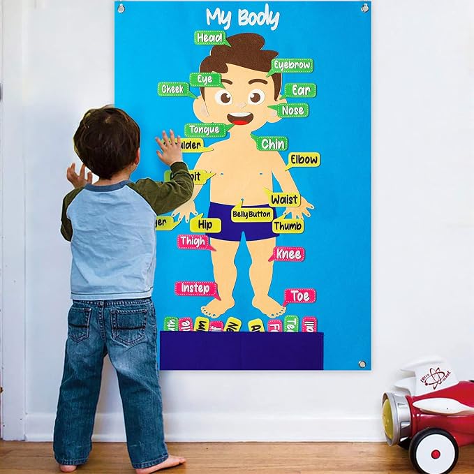 WATINC Body Parts Felt Story Board Set - 35Pcs Flannel Teaching Kit (White) - Image 6