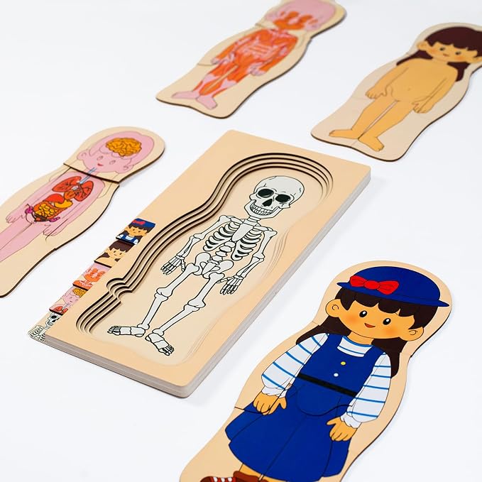 My Body Parts Wooden Anatomy Puzzle, Preschool Learning Human Body Skeleton Toy for Boys and Girls 3-8 Years Old - Image 2