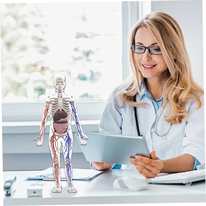 Human Body Structure Model, 3D Human Body Model for Kids with Removable Bones, Organs and Blood Vessels for Anatomy Skeleton - Image 4