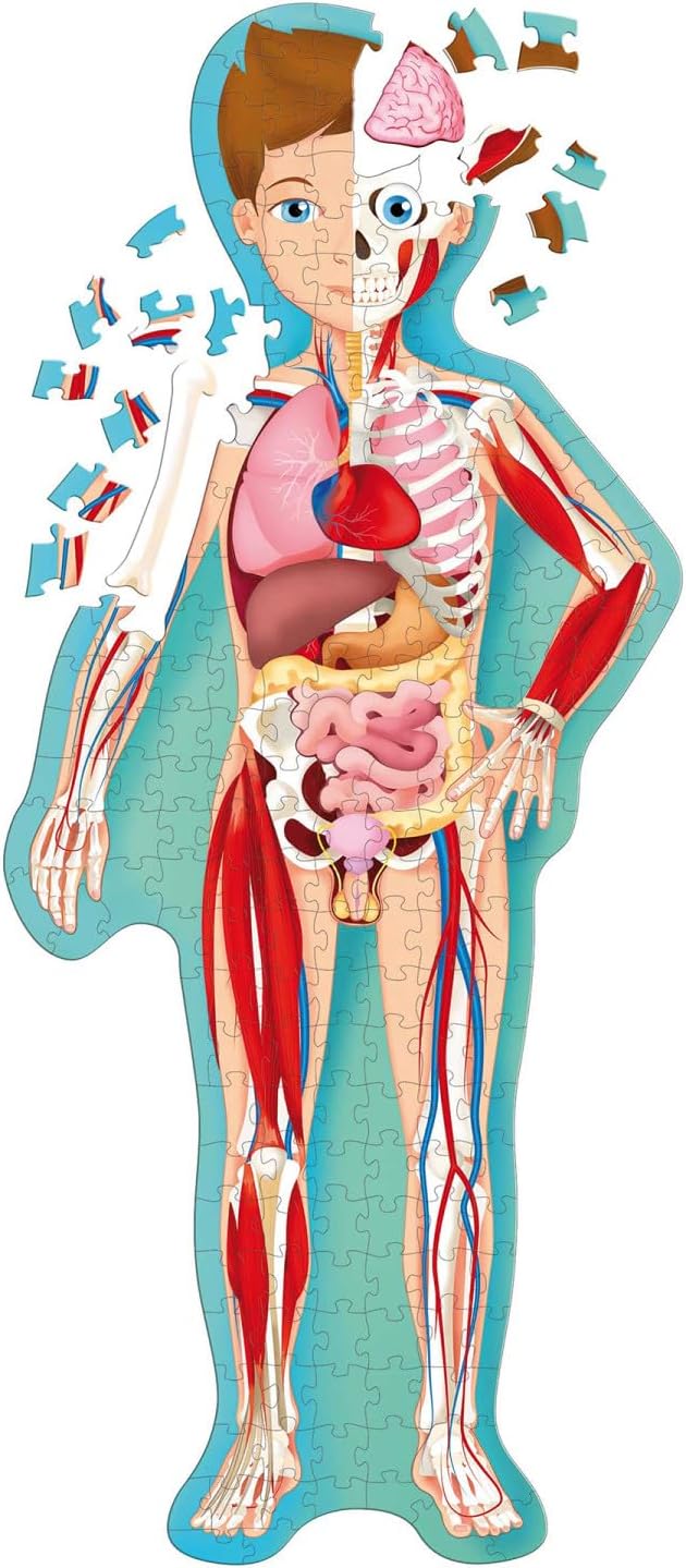 Sassi: Travel, Learn & Explore - The Human Body - 200pc Shaped Puzzle & 32-Page Book, Educational Set, Facts About Bodily Systems, (N.E. 2024) Kids 6+ - Image 2