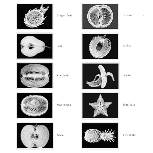 Vegetable, Fruit and Plant X-Rays, Set of 10, Simulation Specimen, Science Experiment Material for Kindergarten, Light Table, Montessori & Reggio-Inspired (Fruit) - Image 4