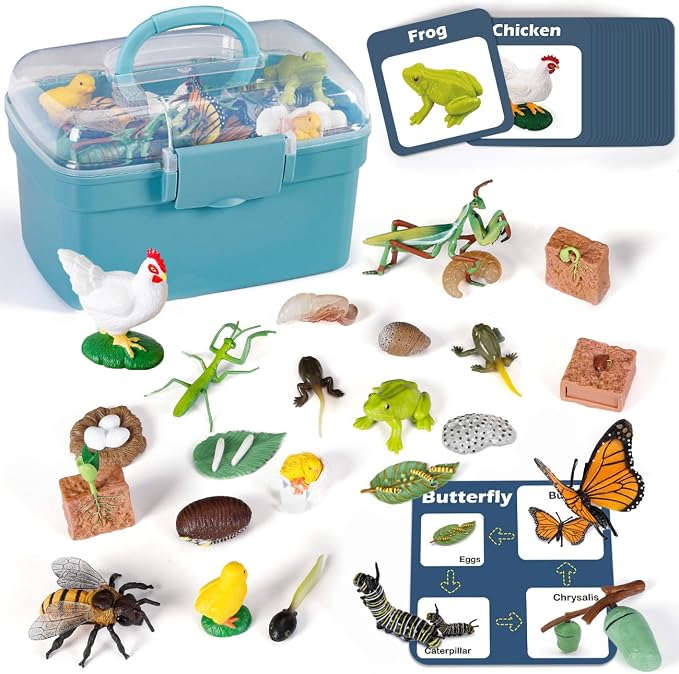 Life Cycle Learning Toys for Kids: Life Science Education Kits with Butterfly, Frog, Chicken, Mantis, Bee, Plants - 25 Pieces Animal Figurines Montessori Toys for Children Age 3 4 5 6 7 8+ by Bambilo