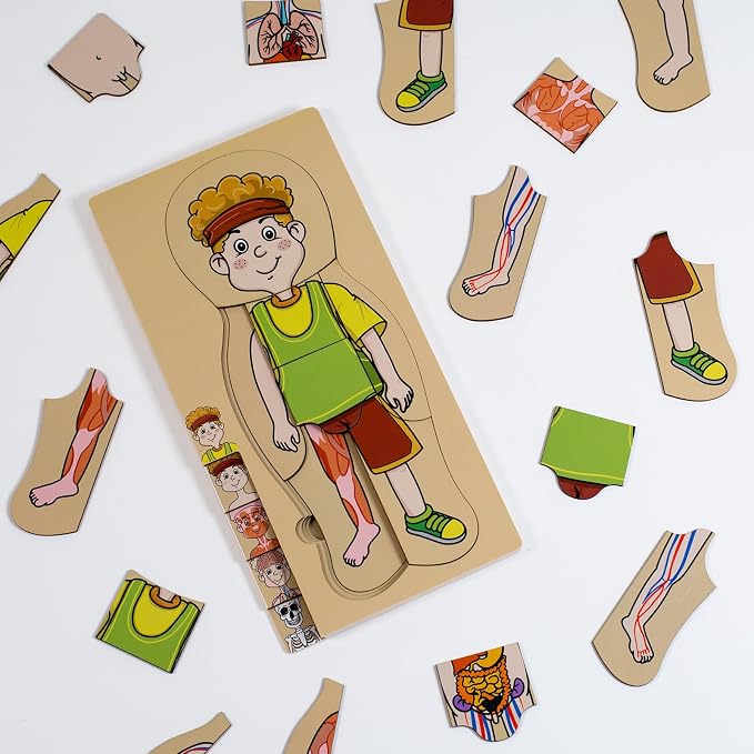 My Body Parts Puzzle for Toddlers Kids Girls Boys Montessori Wooden Anatomy Puzzle 3-5 Years Old Preschool Learning Game Human Body Cognitive Toys - Image 2
