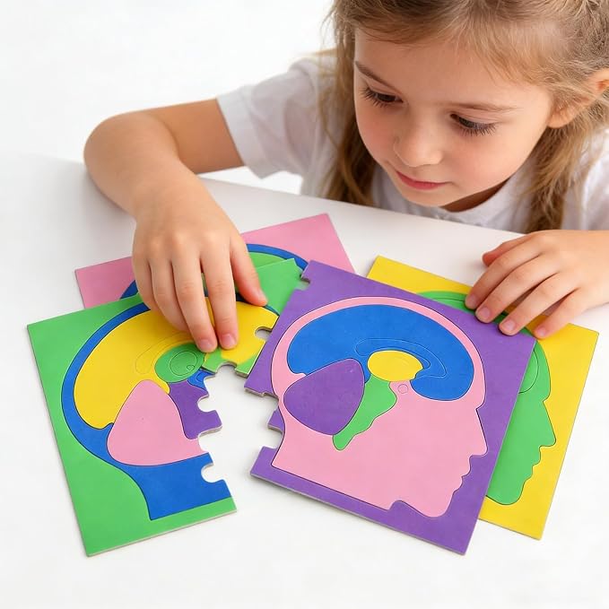 Human Body Puzzle, 16x15.8cm EVA Brain Science Experiment DIY Model for Kids, Students, Education, Learning, STEM, Anatomy Study, Science Supplies - Image 6