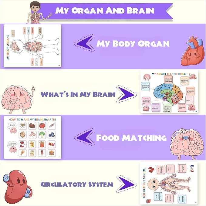 Human Body Anatomy Educational Workbook – Early Learning Materials, 1 Pcs (Yellow) - Image 4