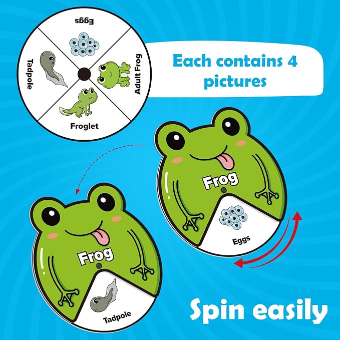 Kasfalci Life Cycle Toys for Kids,Back to School Supplies,Animal Plant Insect Bug Ladybug Butterfly Tadpole to Frog Kit,Montessori Learning & Education Toys,Preschool Science Learning Activities - Image 3