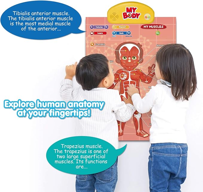 BEST LEARNING i-Poster My Body - Interactive Talking Human Anatomy Toy - Image 3