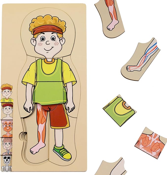 My Body Parts Puzzle for Toddlers Kids Girls Boys Montessori Wooden Anatomy Puzzle 3-5 Years Old Preschool Learning Game Human Body Cognitive Toys by Unknown