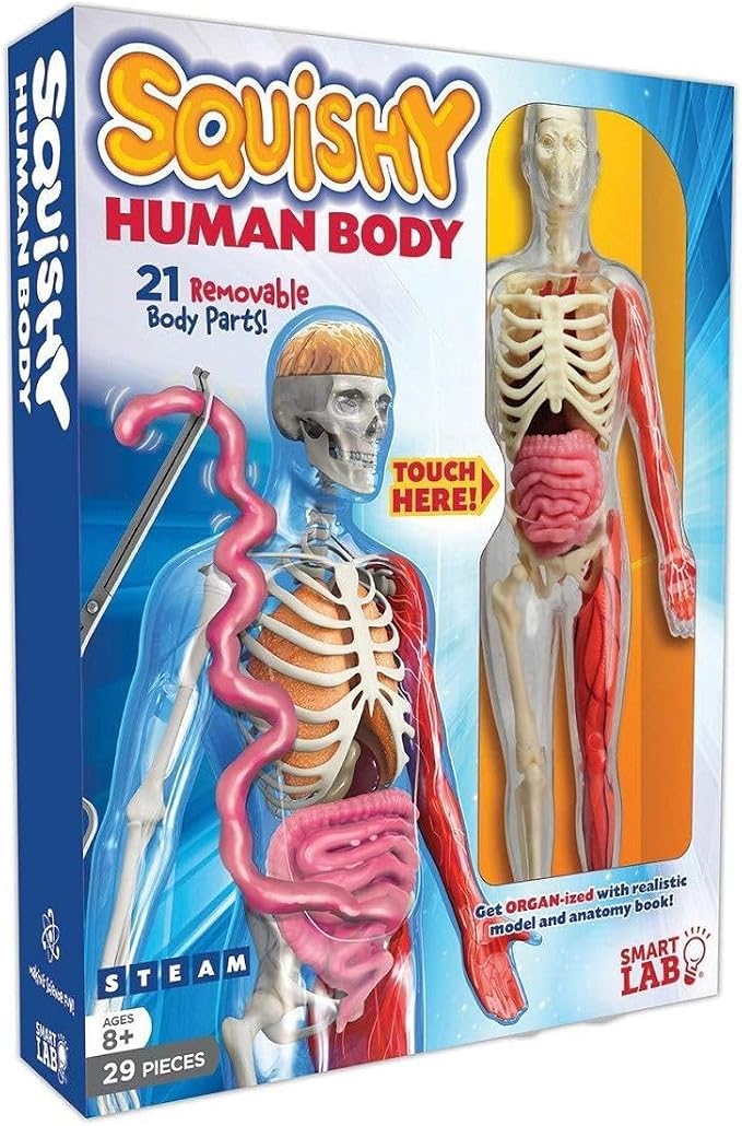 SMARTLAB Toys Squishy Human Body with 21 Removable Body Parts with Anatomy Book - Image 4
