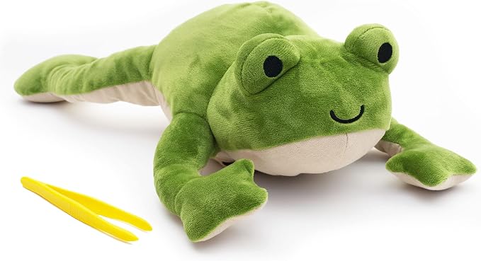 KiwiCo Froggie Lab Dissection Plush Toy | 5-Piece Organ Anatomy Learning Activity | Interactive Biology STEM Stuffed Animal for Kids Ages 3+ - Art & Science Gift - Image 4