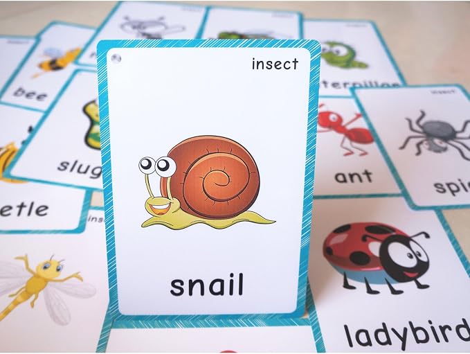 SANTSUN 14 Insects and Bugs Flashcards for Kindergarten Classroom Decoration Background Wall Stickers Teach Flash Card & Daycare Decorations Learning Cards - Image 4