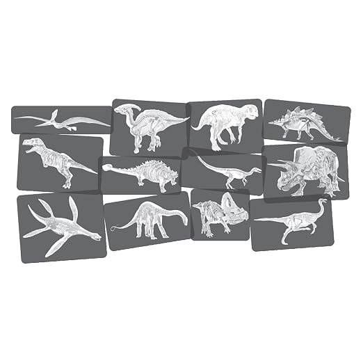 Dinosaur Picture Cards & X-Rays – 24-Piece STEM Paleontology Learning Set for Science, Anatomy & Early Childhood Education by ConstructivePlaythings