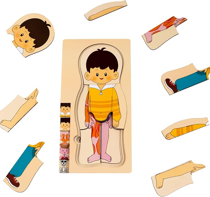 [Brand] My Body Parts Wooden Anatomy Puzzle, Preschool Learning Human Body Skeleton Toy for Boys and Girls 3-8 Years Old by chansword