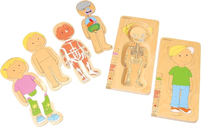 Anatomy Layered Wooden Puzzles – Boy & Girl Set, 5 Layers, Human Body Learning for Ages 4+ by ConstructivePlaythings