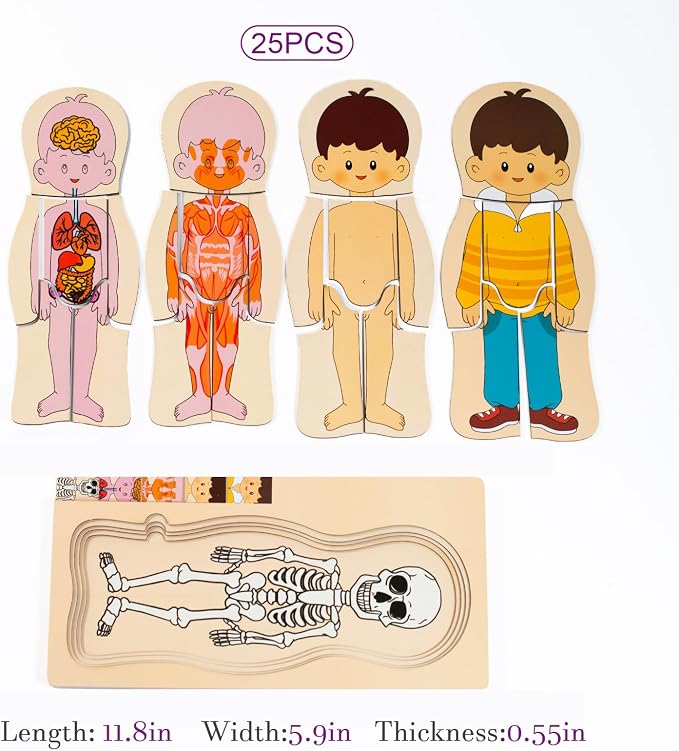 [Brand] My Body Parts Wooden Anatomy Puzzle, Preschool Learning Human Body Skeleton Toy for Boys and Girls 3-8 Years Old - Image 7