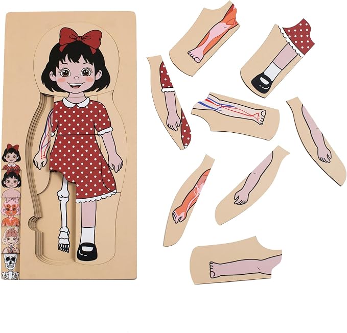 My Body Parts Puzzle for Toddlers Kids African Girl Montessori Wooden Anatomy Puzzle 3-6 Years Old Preschool Learning Game Human Body Cognitive Toys by Unknown