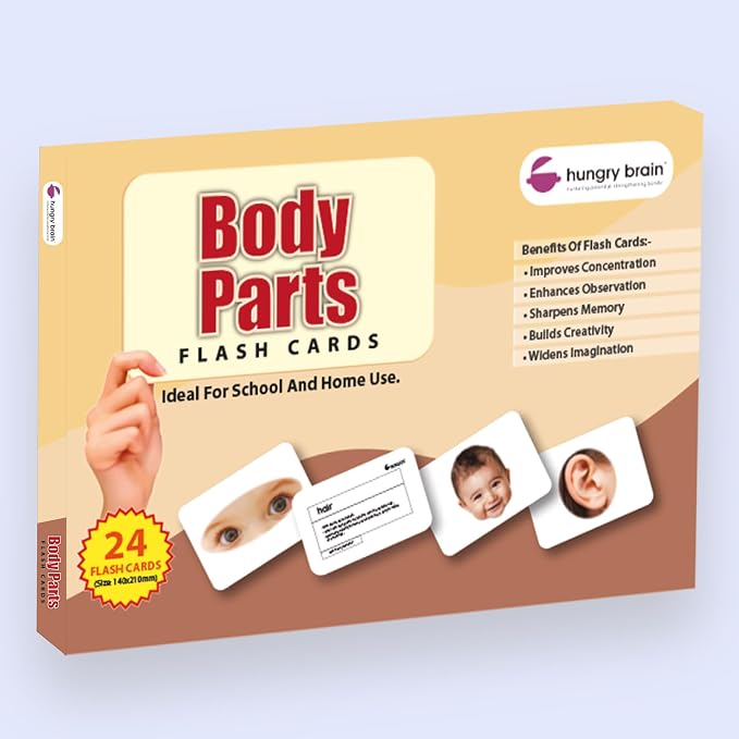 Hungry Brain Body Parts Flash Cards for Toddlers Ages 3 Months to 6 Years | Montessori Human Body Vocabulary Cards for Kids | Educational Learning Cards for Preschool, Kindergarten, Memory by HungryBrain