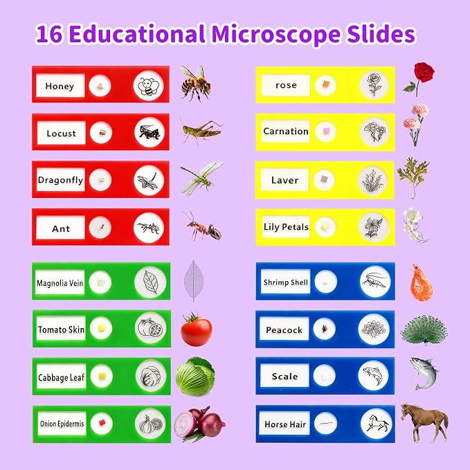 BLACKROOT Microscope for Kids, 2.4" Handheld Digital Pocket Microscope - Image 6
