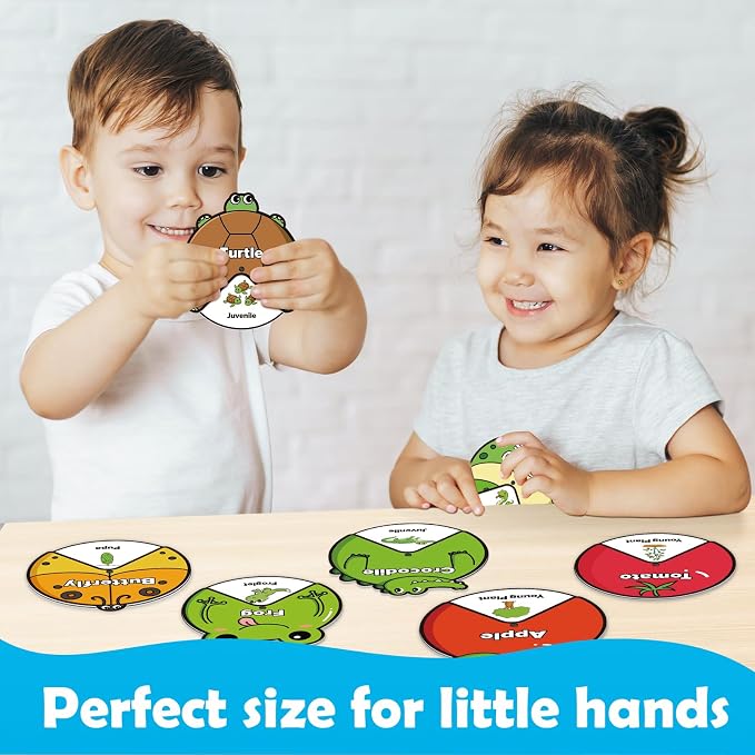 Kasfalci Life Cycle Toys for Kids,Back to School Supplies,Animal Plant Insect Bug Ladybug Butterfly Tadpole to Frog Kit,Montessori Learning & Education Toys,Preschool Science Learning Activities - Image 5