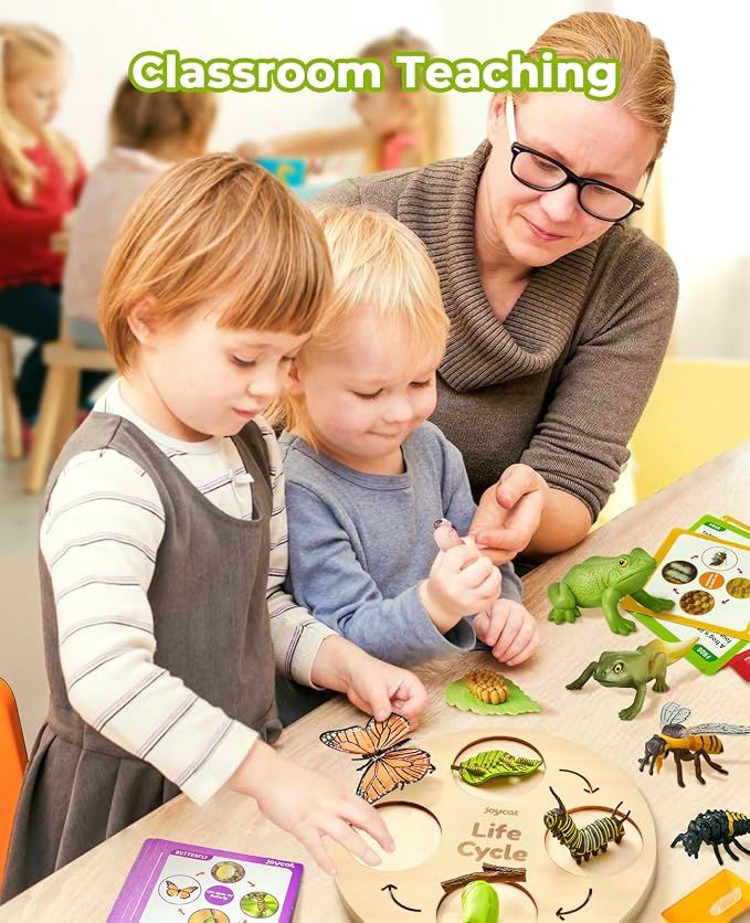 JoyCat Life Cycle Learning Education Toys, Insect Caterpillar to Butterfly kit, Ladybug, Bee, Tadpole to Frog Kit Life Cycle Toys for Kids, Preschool Learning Activities for Age 3 4 5 6 7 8 - Image 4