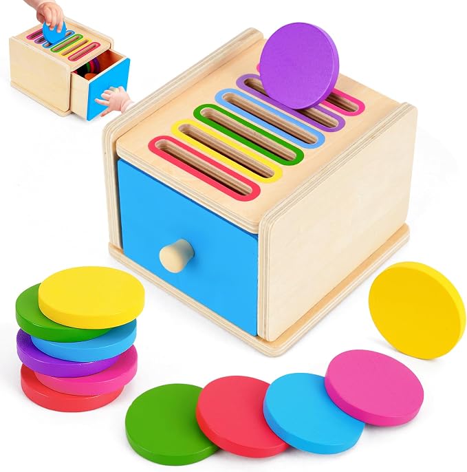 FCSONU Toddlers Montessori Coin Box Toys for 1 2 3 Year Old Boys Girls Baby by FCSONUMontessoriToys