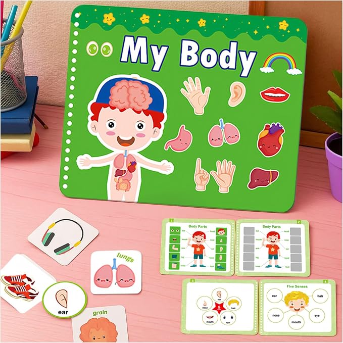 Human Body Anatomy Educational Workbook – Early Learning Materials, 1 Pcs (Green) by BEMAXYE