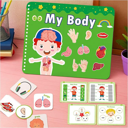 Human Body Anatomy Educational Workbook – Early Learning Materials, 1 Pcs (Green) by BEMAXYE