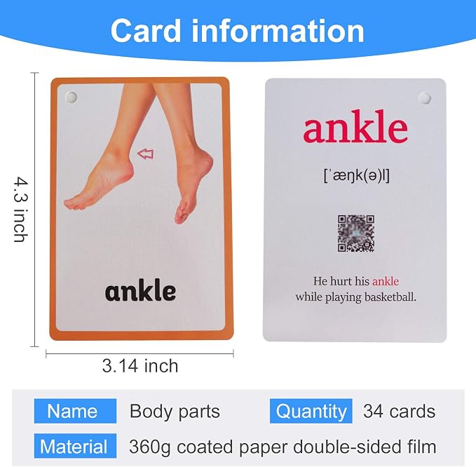 34PCS/Set Body Parts Kids Gifts English Flash Cards Pocket Card Educational Learning Baby Toys for Children Pre-Kindergarten - Image 2