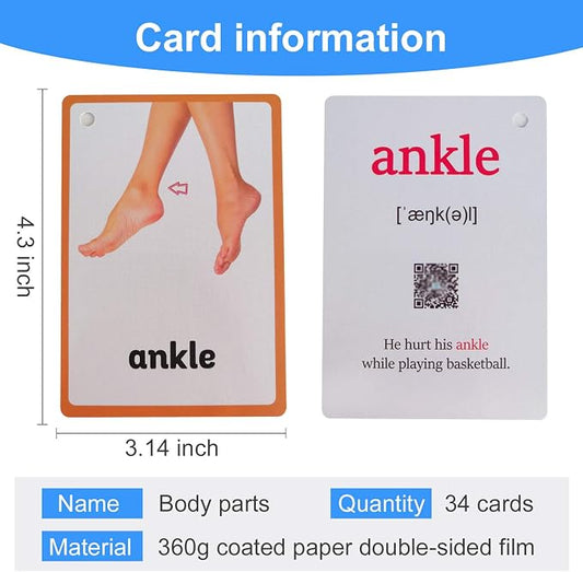 34PCS/Set Body Parts Kids Gifts English Flash Cards Pocket Card Educational Learning Baby Toys for Children Pre-Kindergarten - Image 2